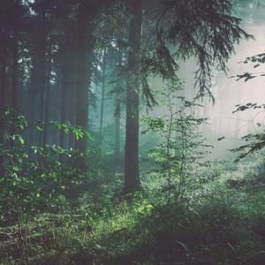 女生脱个精光让男生捅个爽
